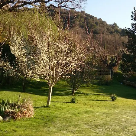 Le Jas Des Oliviers Le Castellet (Alpes-de-Haute-Provence)